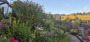 Photo 27- click for photo gallery